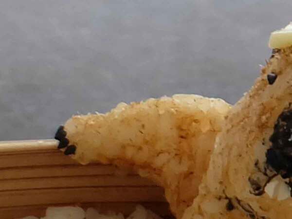 弁当箱に入っていたのは？　まさかのビジュアルに「どこから食べるか迷っちゃう！」