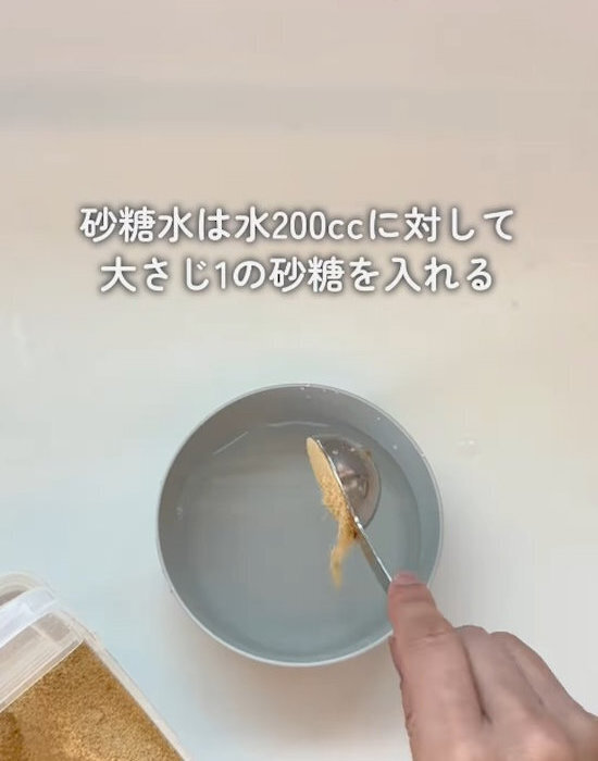 リンゴが変色しない？　塩以外の方法に「試したい」「そうだったのか」