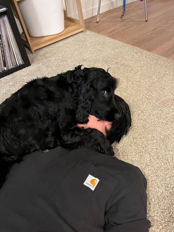 「息の根を止めちゃダメだよ」　飼い主が見た光景に「目が本気で笑った」「これは確信犯」