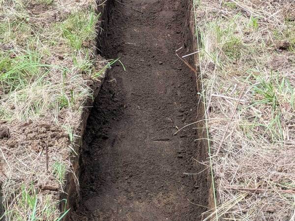 職人が１時間半かけて作ったのは…？「お見事」「尊敬します！」