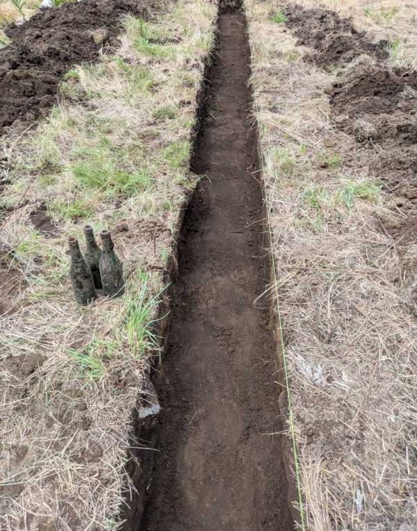 職人が１時間半かけて作ったのは…？「お見事」「尊敬します！」