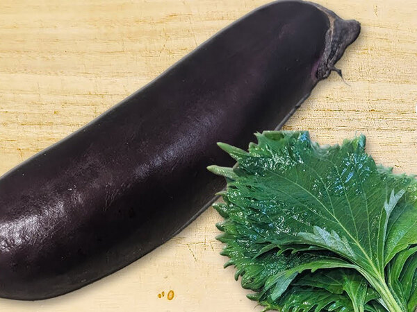 ナスに塩昆布とごま油を混ぜて…？　大葉となすを使った火を使わない料理が暑い日に大助かり！