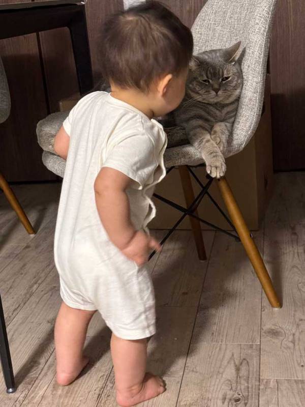 赤ちゃんからにらまれて…　猫の様子に「いい顔すぎ」「諦めてる？」