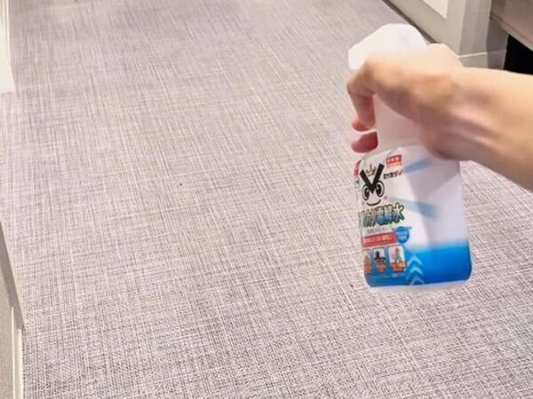 「なんで今まで使わなかったんだろう」　アルカリ電解水の実力がすごかった