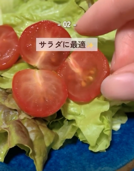 ミニトマトをそのまま冷蔵庫に？　正しい保存法に「知らなかった」「やってみます」