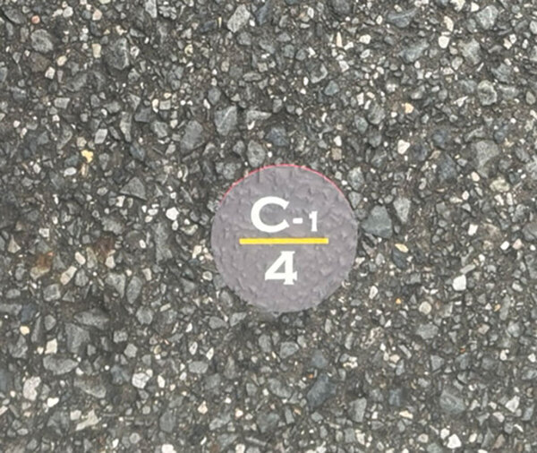 ずぶ濡れジャンボリミッキーが最高すぎた　夏のディズニーの必需品も