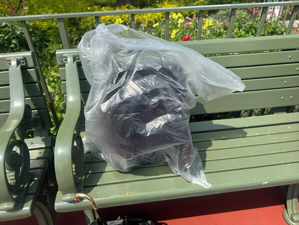 ずぶ濡れジャンボリミッキーが最高すぎた　夏のディズニーの必需品も