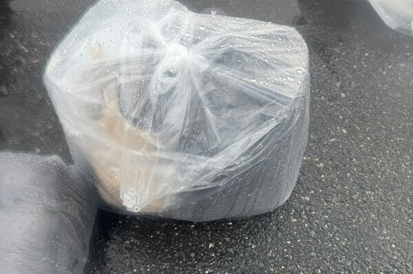 ずぶ濡れジャンボリミッキーが最高すぎた　夏のディズニーの必需品も