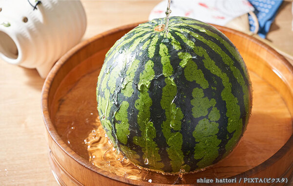 スイカをまるまる１個を買った！　でもどうやって冷やす？JAに教えてもらった！