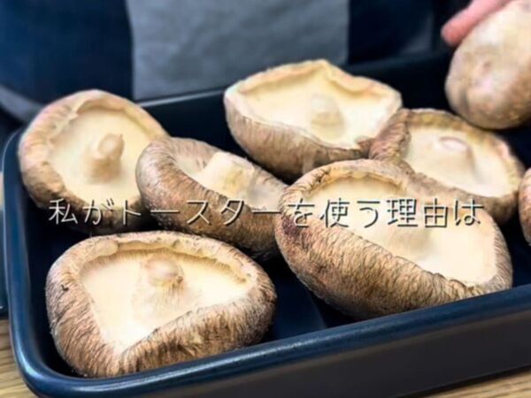 シイタケに詰めて焼くだけ！　居酒屋風おつまみに「絶対リピ」「うまみが爆発」