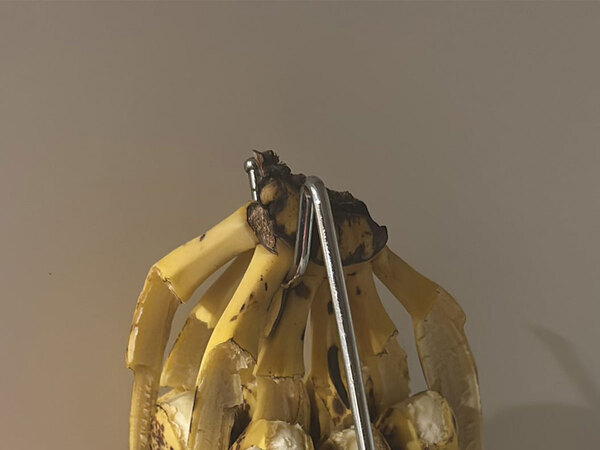 「声を出して笑った」「そんなバナナ！」　すべての皮が剥けた理由とは…