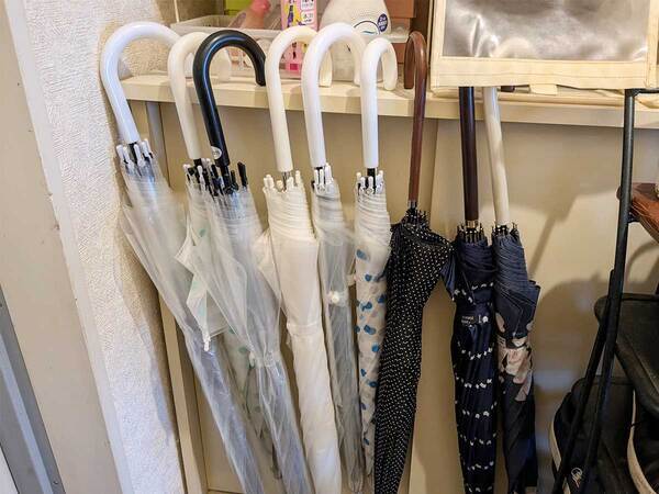 傘にカビが生えた時はどうする？　フマキラーの回答が参考になる！