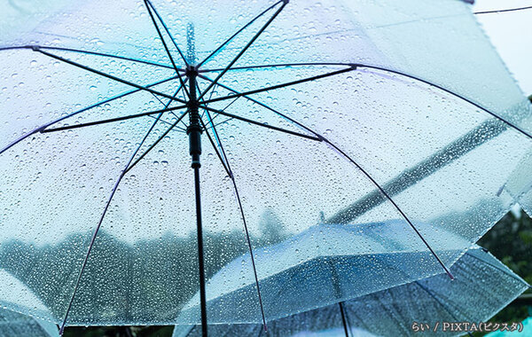 傘にカビが生えた時はどうする？　フマキラーの回答が参考になる！