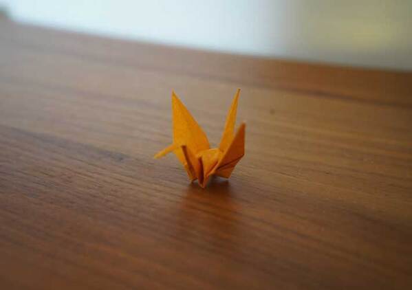 １２年ぶりに折った折り紙　後日、行方不明になって…「シュールで笑った」「面白すぎる」