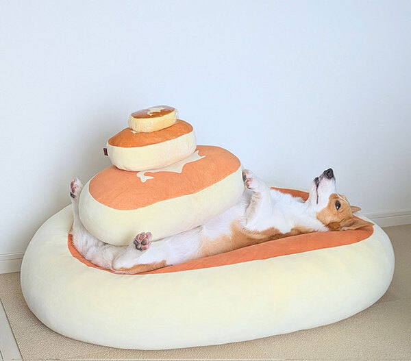 クッションの上で寝るコーギー　体を見ると？「笑った」「こんなサイズ感だったのね」