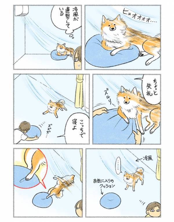 冷風が直撃している犬　飼い主が場所をずらすと？　「声出して笑った」