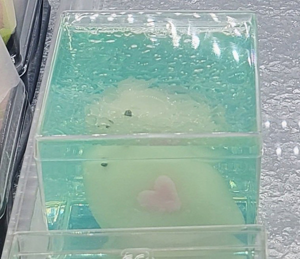 和菓子職人「見慣れない子が混じっています」　立て札の後ろに並んでいたのは…