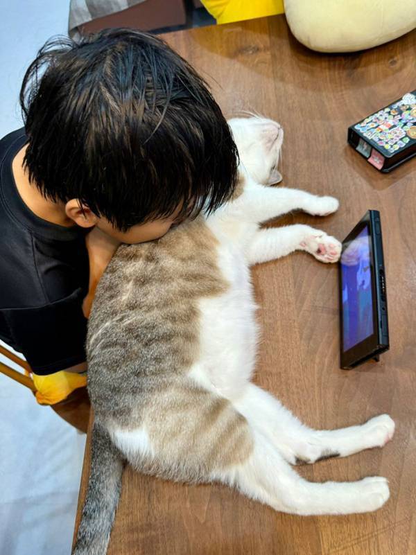 ゲームを遊んでいると思ったら…　息子の顔の下を見ると？「最高かよ」「どこに売ってますか？」