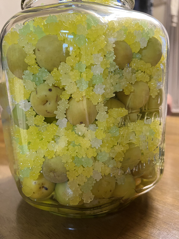 母が作った『梅の砂糖漬け』　使ったモノに「その手があったか！」「発想が最高」