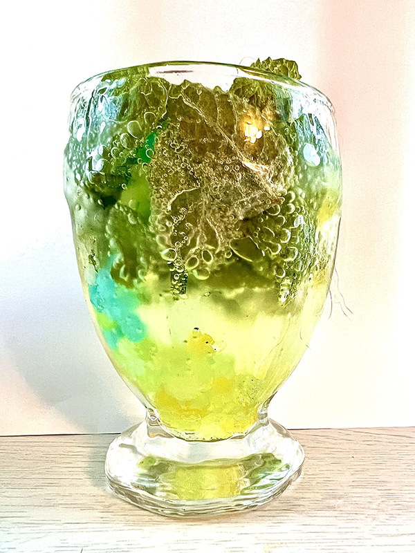 母が作った『梅の砂糖漬け』　使ったモノに「その手があったか！」「発想が最高」