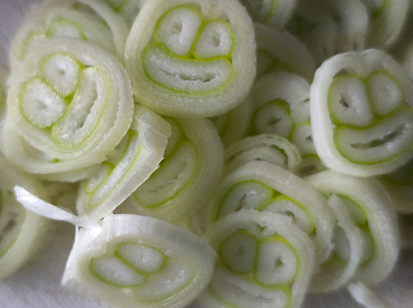 ネギを切っていたら…　断面の写真に『２７万いいね』のワケ