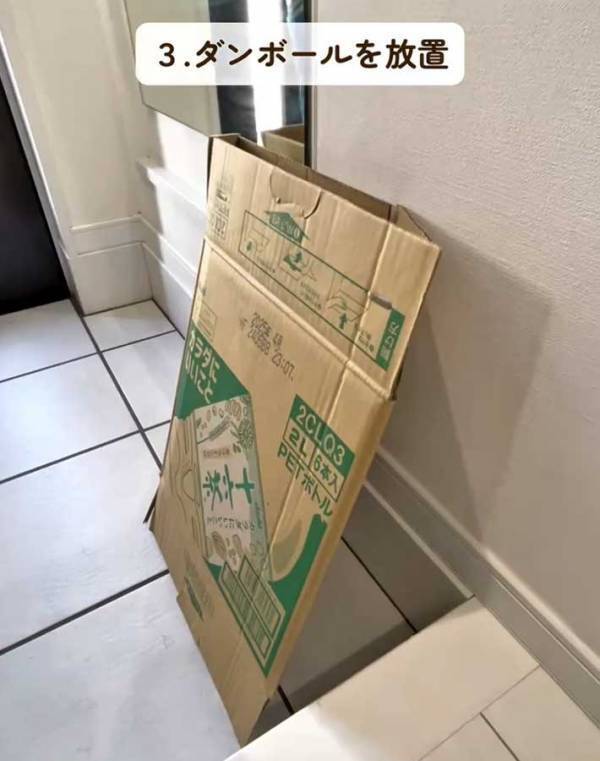 すぐにやめて！　ゴキブリが繁殖するNG行為に「知らなかった」「すぐに捨てます」