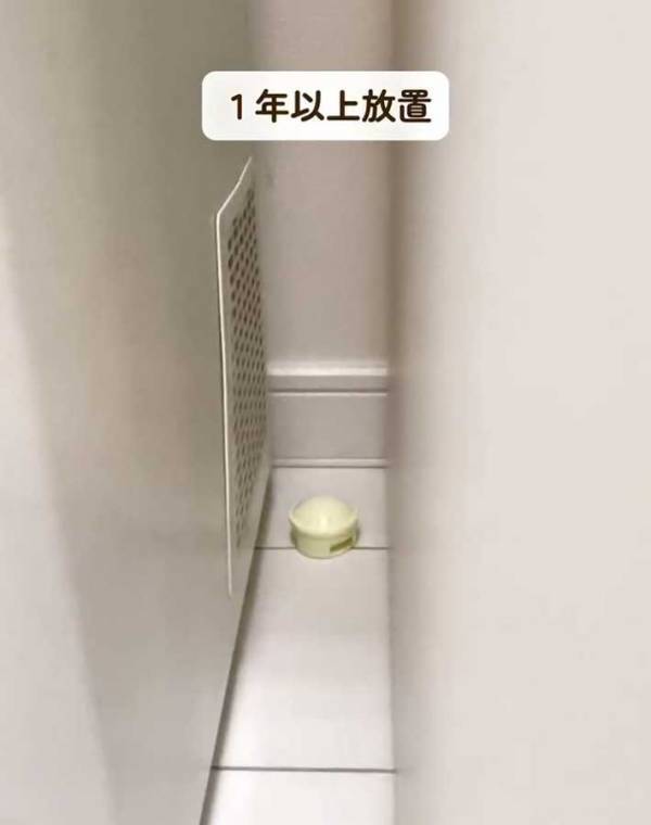 すぐにやめて！　ゴキブリが繁殖するNG行為に「知らなかった」「すぐに捨てます」