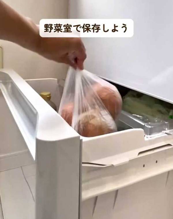 すぐにやめて！　ゴキブリが繁殖するNG行為に「知らなかった」「すぐに捨てます」