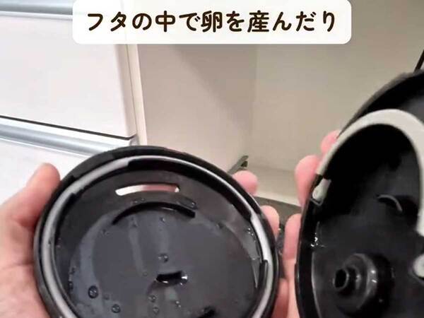 すぐにやめて！　ゴキブリが繁殖するNG行為に「知らなかった」「すぐに捨てます」