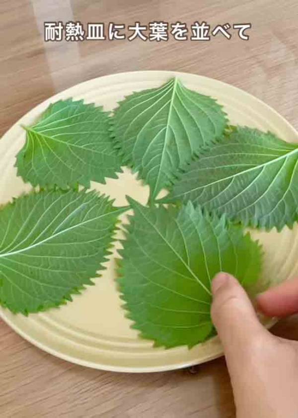 大葉を並べて、レンジでチン！　できた一品に「作らなければ」「早速やる！」
