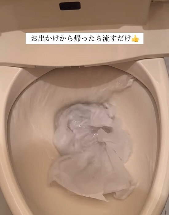 トイレの『輪ジミ』にはシュワシュワ攻撃！　気付いたら…「無くなってる」