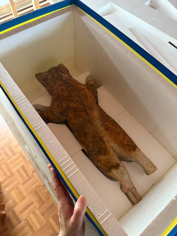 「箱の中で暴れないようにするのが仕事です」　彫刻家、『搬入直前』の様子がこちら