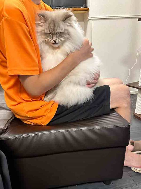 「これはジワる」「渋すぎるだろ」　飼い主に抱っこされて嬉しい猫が？