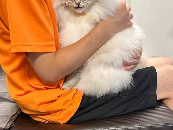 「これはジワる」「渋すぎるだろ」　飼い主に抱っこされて嬉しい猫が？