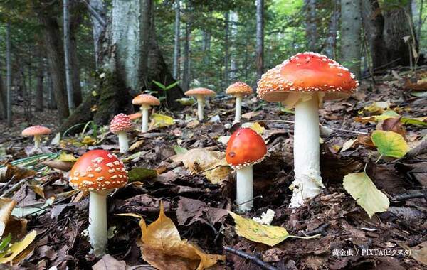 保安検査場で「これいいですね！」　職員に褒められたものが？