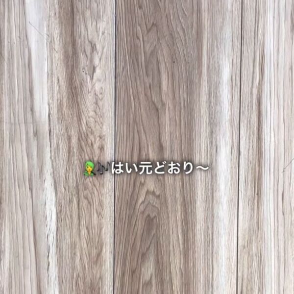 シールに厚く塗って２分放置　スルッと剥がれる理由に「買ってみたい！」