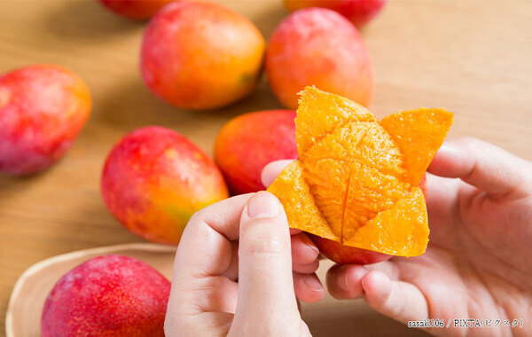 マンゴー、皮が食べられるって知ってた？　農学校におすすめの食べ方を聞いてみた