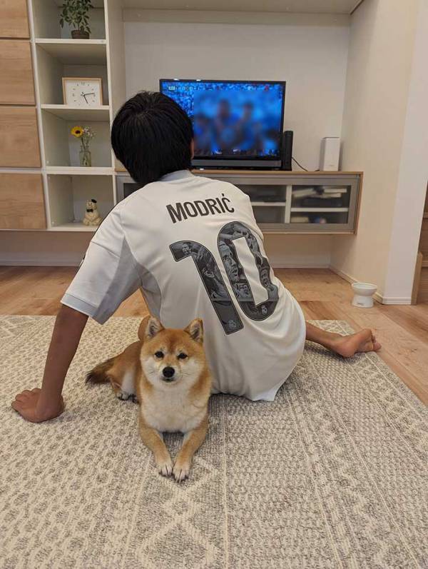 散歩に行こうとしない柴犬　横を見ると…「そういうことね」「強い意志を感じる」