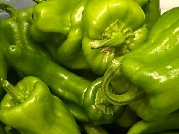 「大量に頂いたのですが…」　袋を開けると中には？「爆笑した」「間違い探しじゃん」