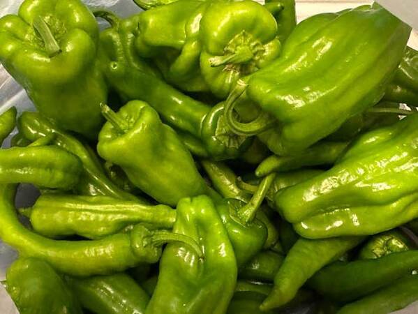 「大量に頂いたのですが…」　袋を開けると中には？「爆笑した」「間違い探しじゃん」