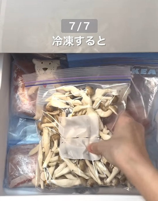 レタスがいつまでも『ピンシャキッ』　芯に塗ったのは…　「はじめて知った」