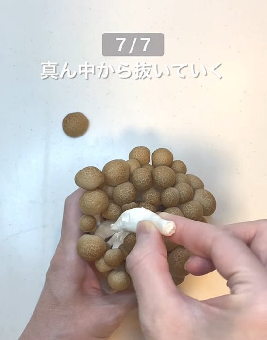 レタスがいつまでも『ピンシャキッ』　芯に塗ったのは…　「はじめて知った」