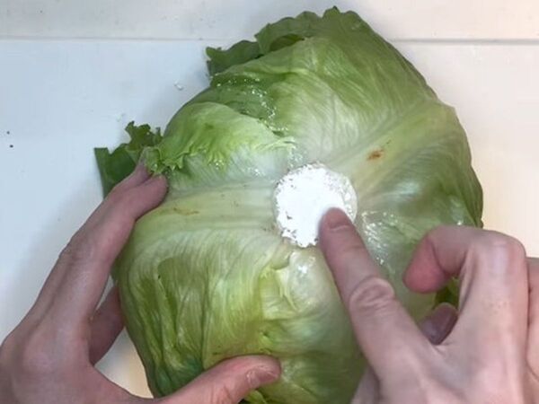 レタスがいつまでも『ピンシャキッ』　芯に塗ったのは…　「はじめて知った」