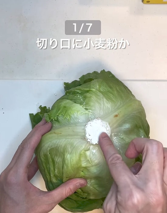 レタスがいつまでも『ピンシャキッ』　芯に塗ったのは…　「はじめて知った」
