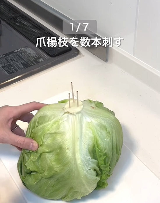 レタスがいつまでも『ピンシャキッ』　芯に塗ったのは…　「はじめて知った」