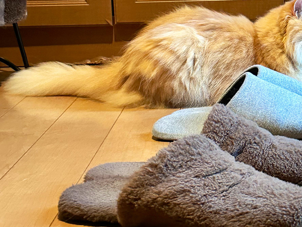 夫「これは早退案件だ」　妻から送られてきた１枚に「今すぐ帰って！」「涙出た」