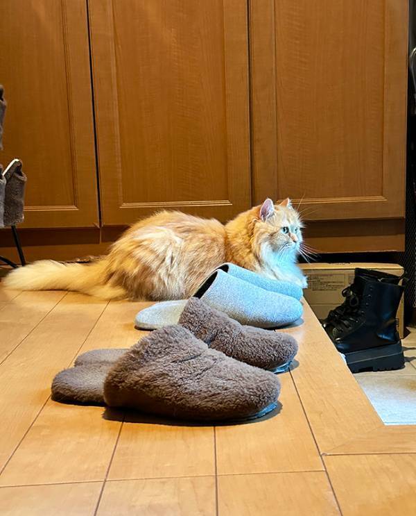 夫「これは早退案件だ」　妻から送られてきた１枚に「今すぐ帰って！」「涙出た」