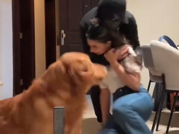 飼い主が襲われている！　誰もが驚いた犬の反応とは？「初めて見た」