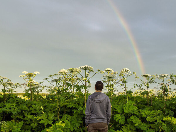北海道「むやみに触らないで」　北海道で見つかった植物に「知らなかった」「怖すぎる」