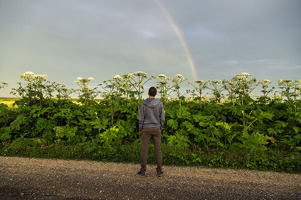 北海道「むやみに触らないで」　北海道で見つかった植物に「知らなかった」「怖すぎる」